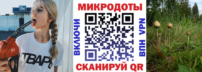 Псилоцибиновые грибы MAGIC MUSHROOMS  Рубцовск 